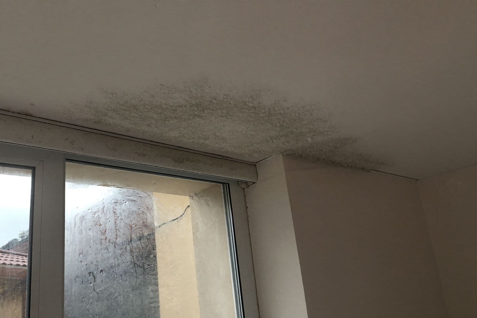 Puntos de moho negro en la esquina del techo junto a una ventana con vaho