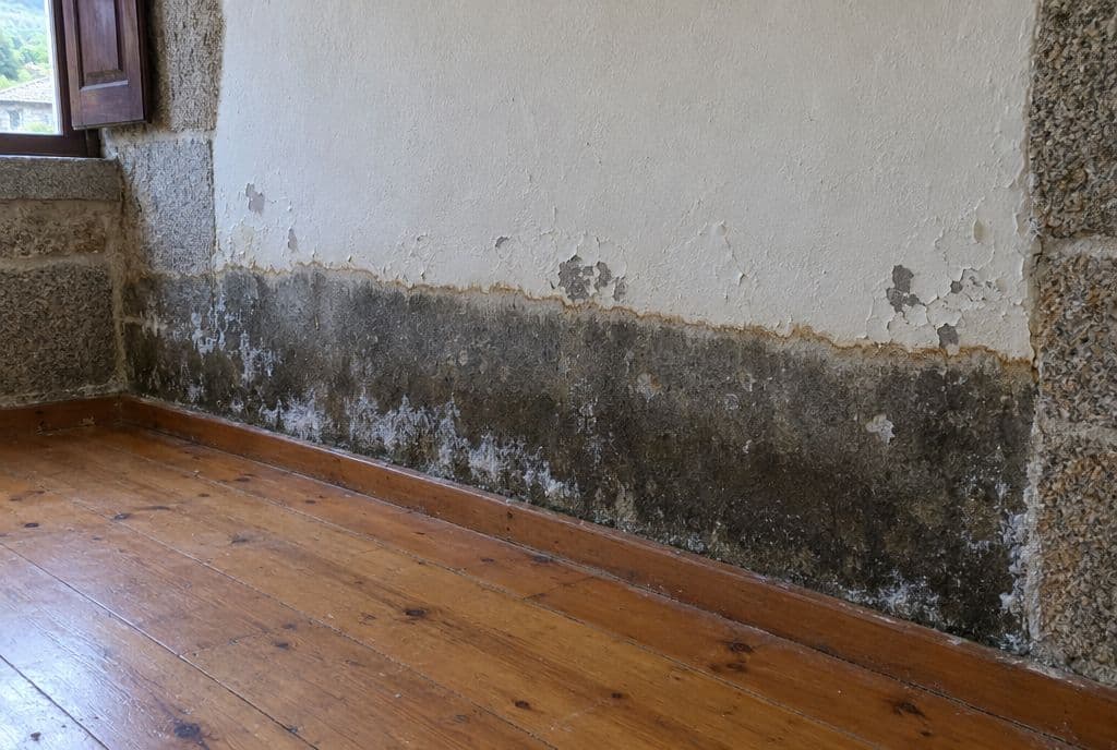 Franja de humedad pareja en la parte baja de un muro de una casa de piedra gallega