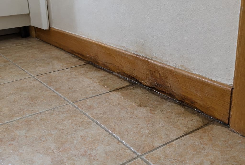 Suelo de baldosa de cocina con juntas oscuras y húmedas y el rodapié hinchado
