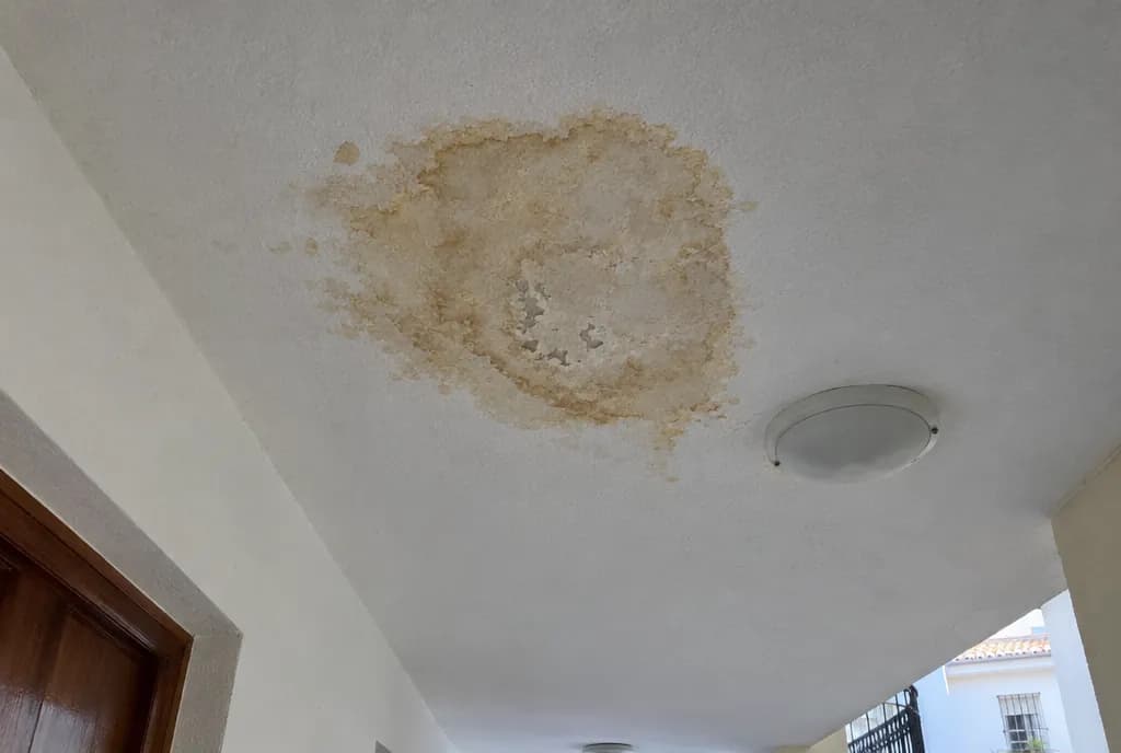 Mancha amarillenta de agua con cercos y pintura desconchada en el techo blanco de un pasillo junto a una lámpara